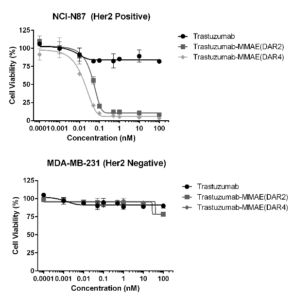 The conjugates have high in-vitro plasma stability