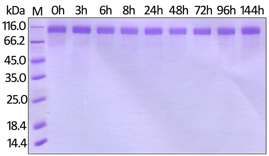 Biosimilar-fig7.jpg