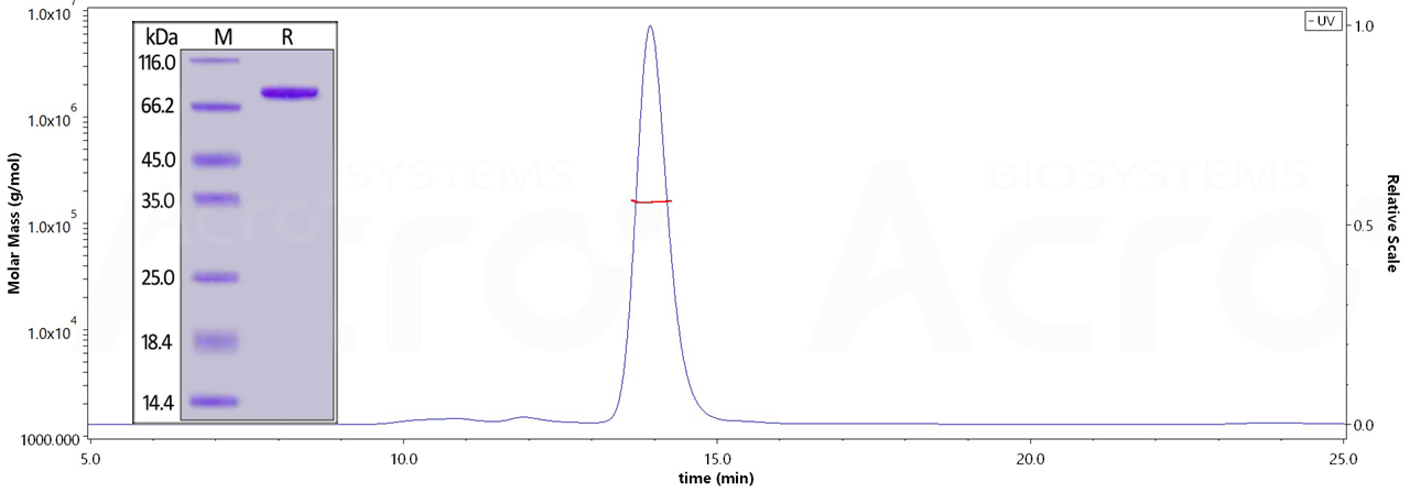 High purity