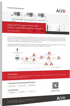 Induced Pluripotent Stem Cells Culture and Differentiation Solutions