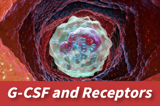 Different Types of CSF Targets