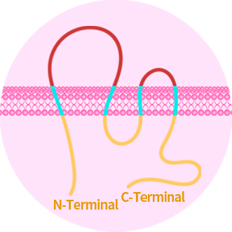 Multi-pass Transmembrane Proteins and Technology Platforms