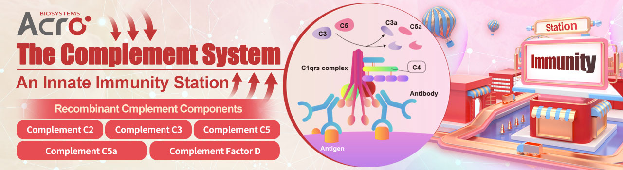 보체계, 선천적 면역 스테이션