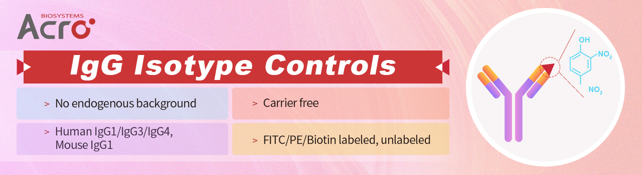 IgG Isotype Controls