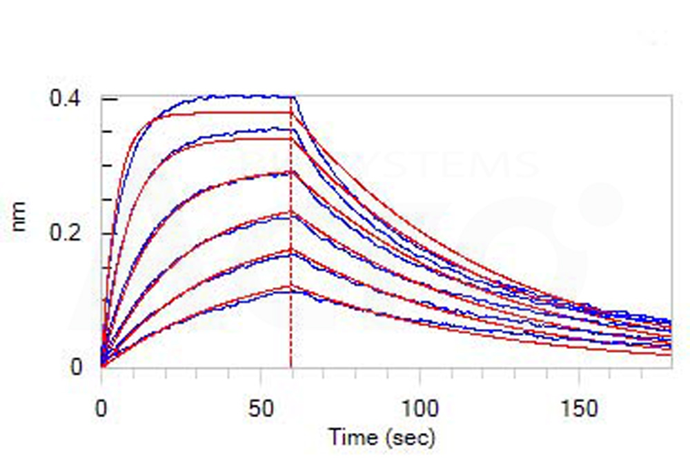 High affinity verified by SPR and BLI