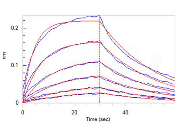 High purity and structural homogeneity verified by SDS-PAGE and SEC-MALS