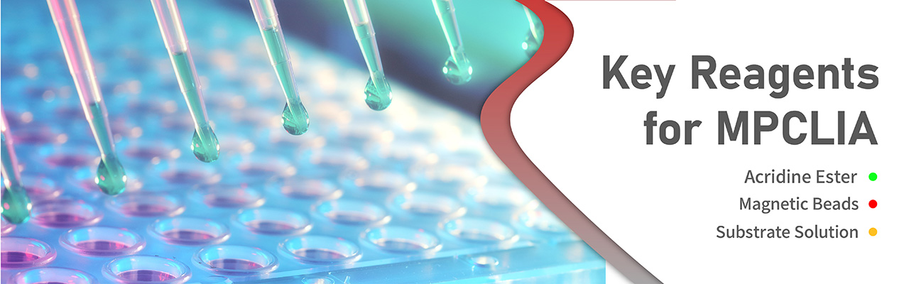 사용자 고유의 자성입자 기반 화학발광면역분석법(Magnetic Particle Chemiluminescent Immunoassay, MPCLIA)을 구축해주는 시약