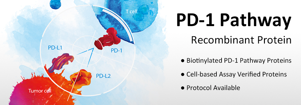 PD1 Pathway