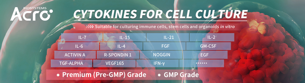 Cyt okines for Cell Culture