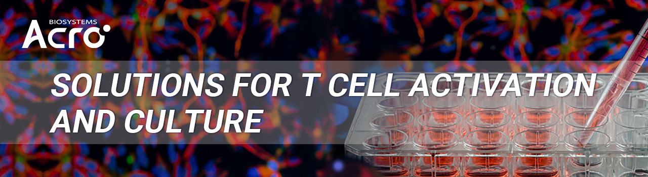 Solutions for T Cell Activation and Culture