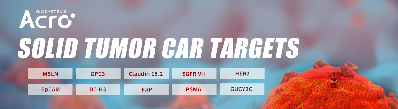 Solid Tumor CAR Targets