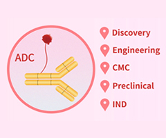 SPR /BLI analytical service