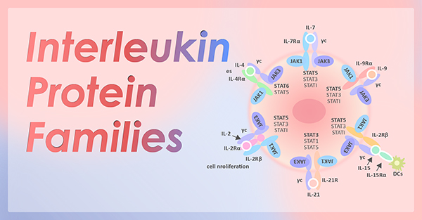 Interleukin