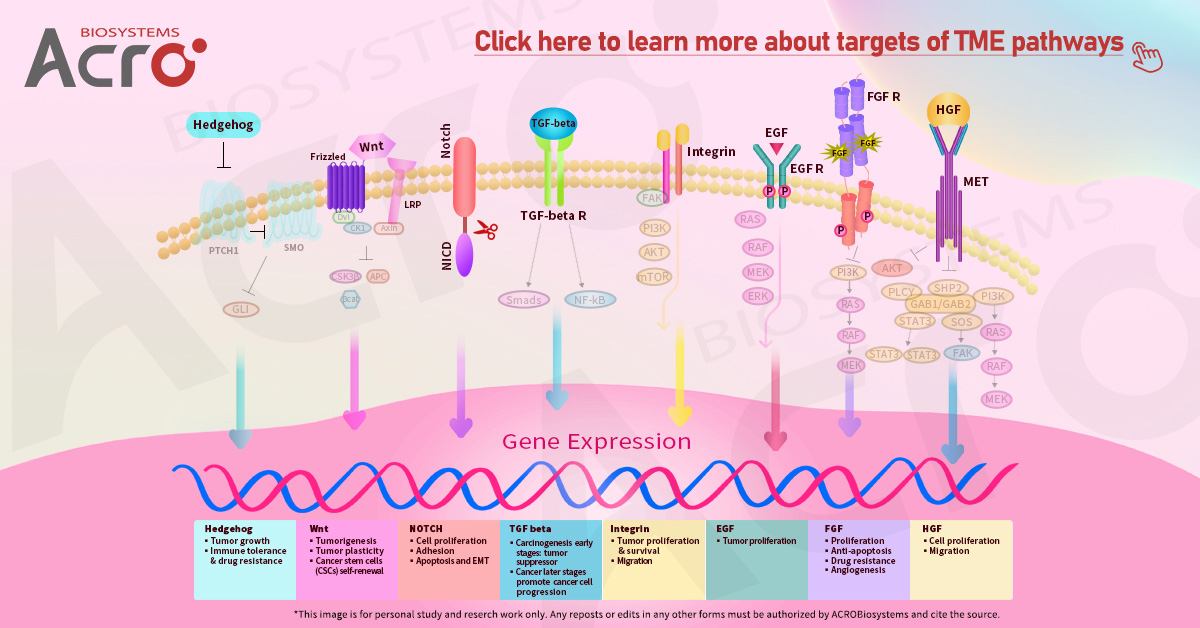 Targets of TME pathways