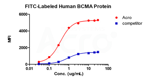 FACS 검증된 BCMA 결합 활성