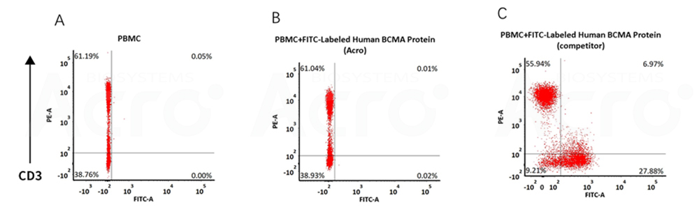 BCMA PBMC 비교 데이터