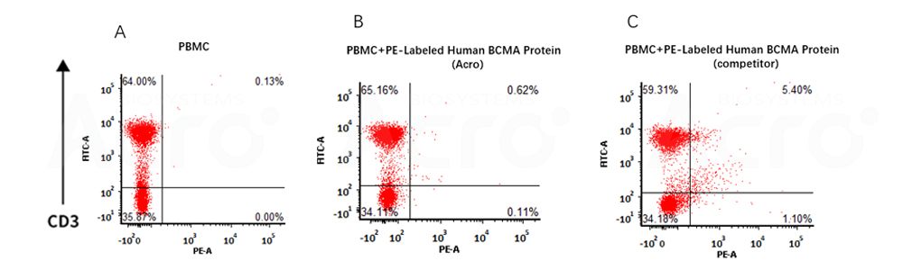 FACS 검증한 BCMA-PBMC