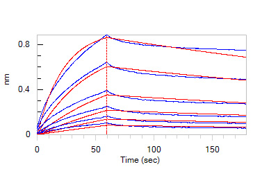  Apolipoprotein E BLI