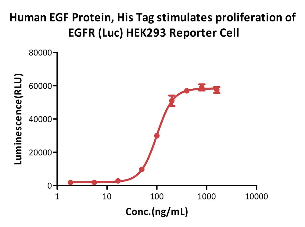  EGF CELL