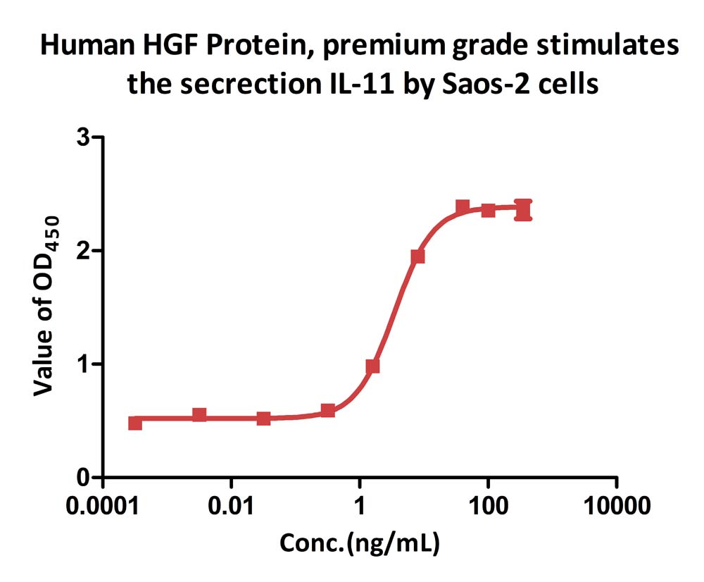  HGF CELL