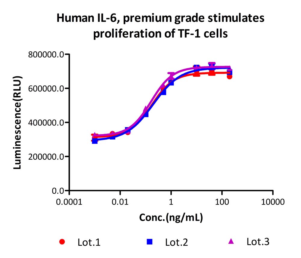  IL-6 BATCH CELL BASE