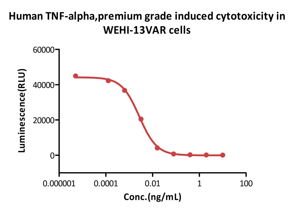  TNF-alpha CELL