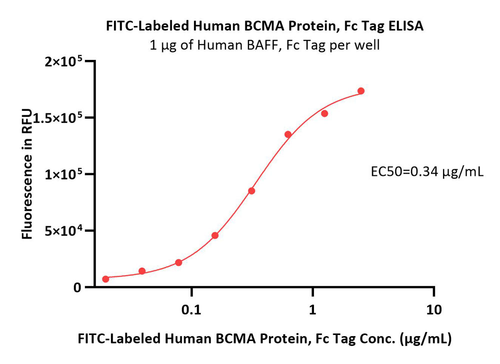  BCMA ELISA