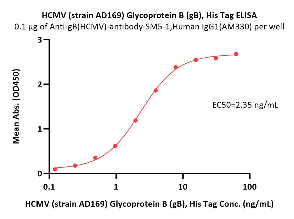  Glycoprotein B / gB ELISA