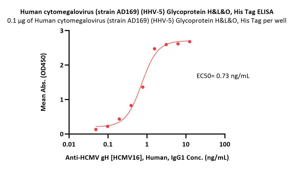  Glycoprotein H & Glycoprotein L & Glycoprotein O/gH & gL & gO (HCMV) ELISA