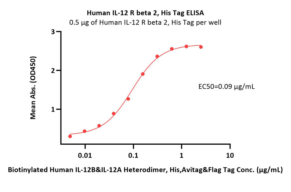  IL-12 R beta 2 ELISA