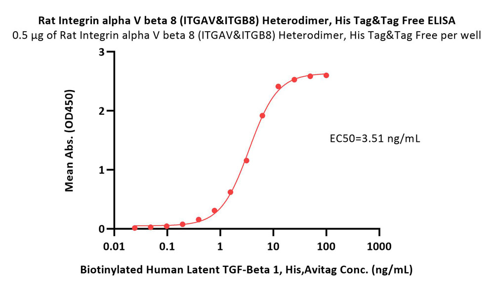  Integrin alpha V beta 8 ELISA