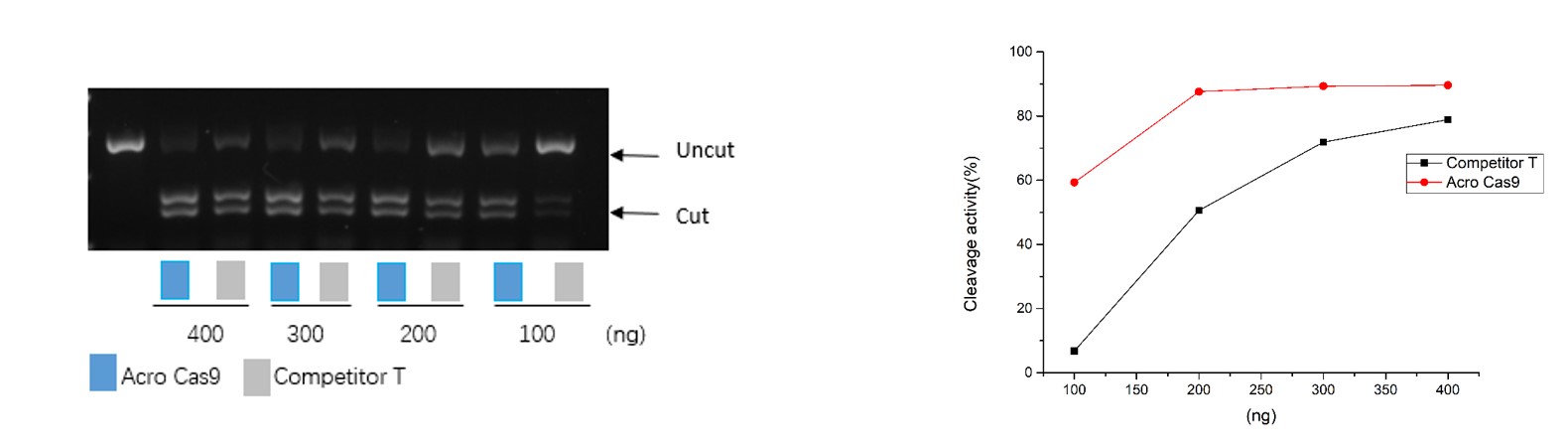  CAS9 ENZYME