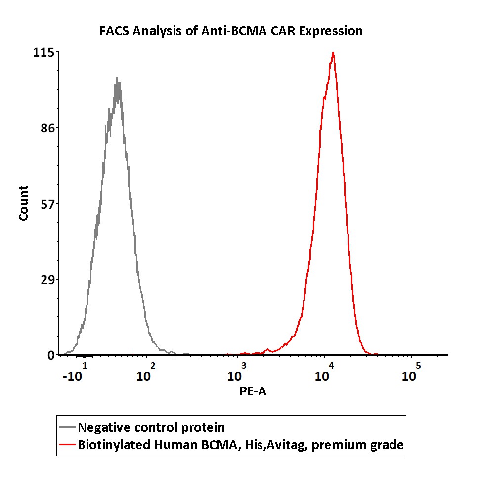  BCMA FACS