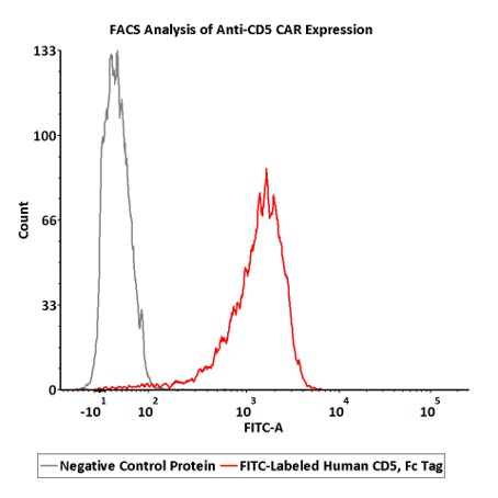  CD5 FACS