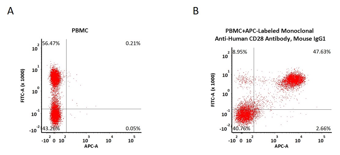  CD28 FACS