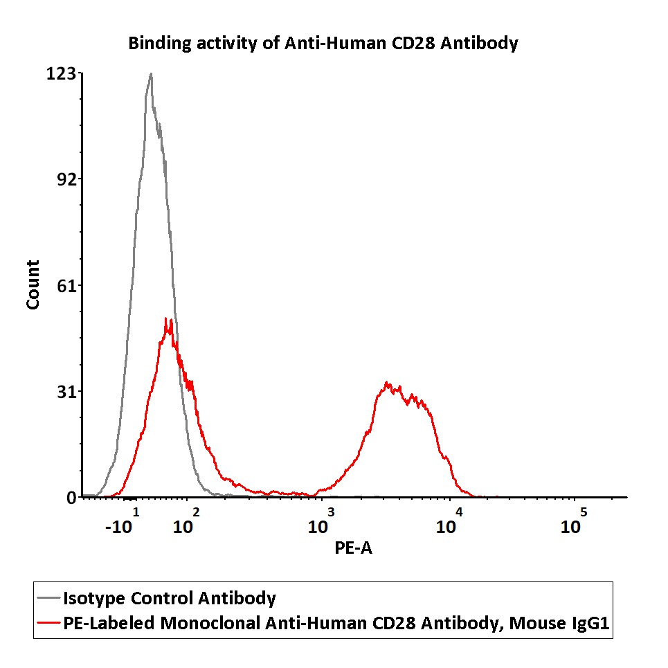  CD28 FACS