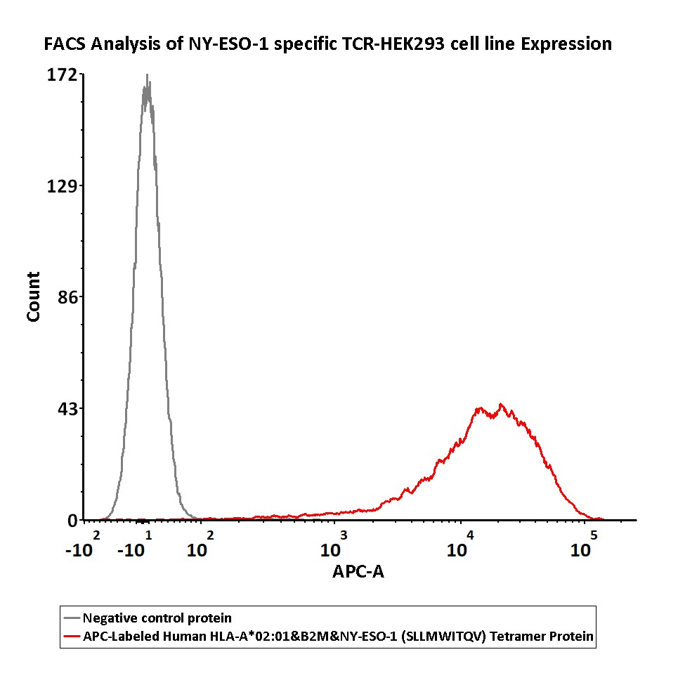  HLA-A*0201 & B2M & NY-ESO-1 (SLLMWITQV) FACS