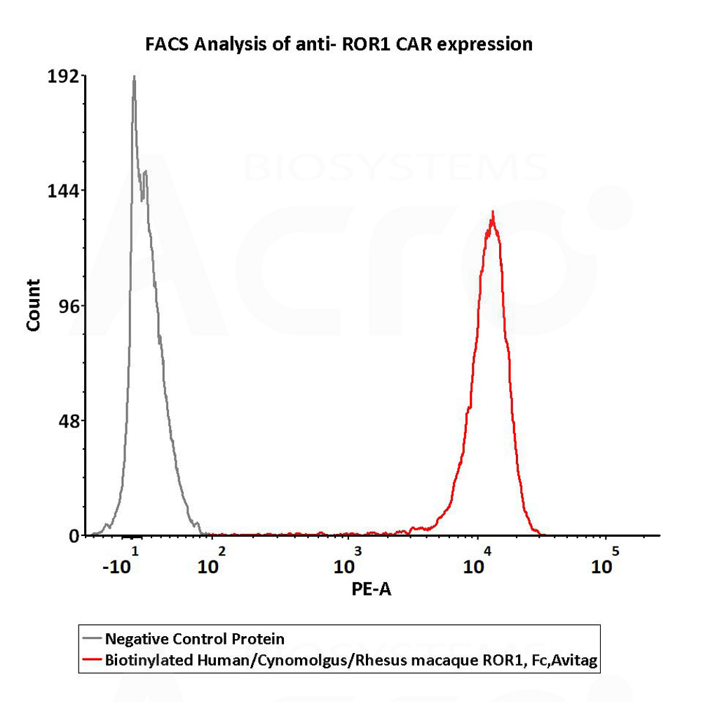  ROR1 FACS