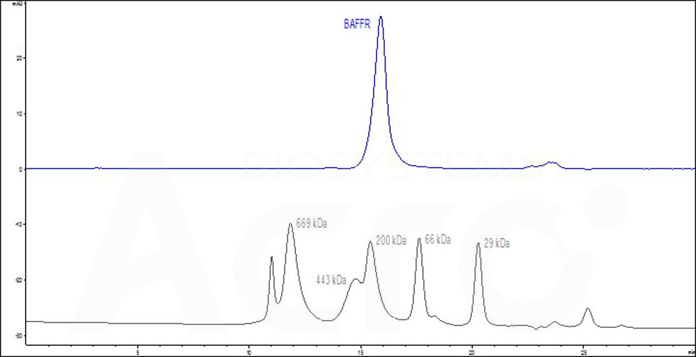 BAR-M5259-hplc