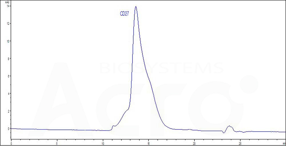 CD27 SEC-HPLC