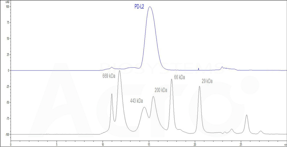 PD-L2 SEC-HPLC