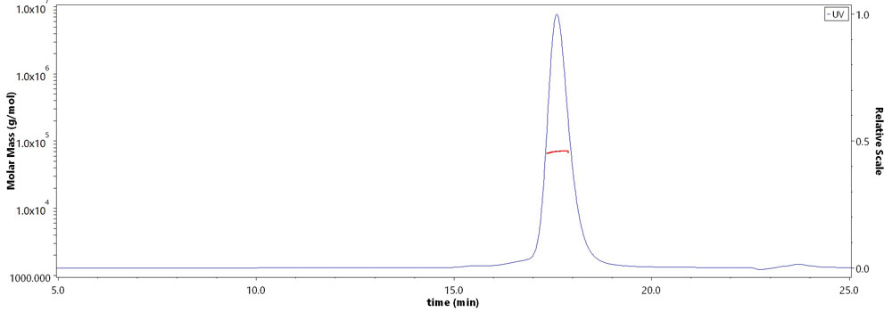 CXCL2 MALS images