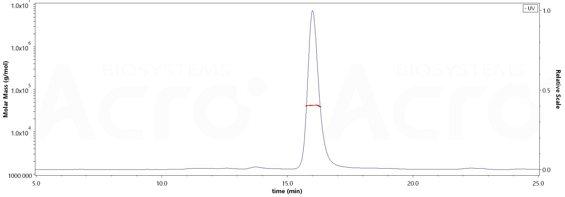 Protein L MALS images