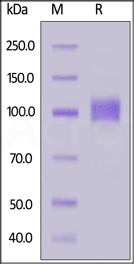 AC2-H82E7-sds