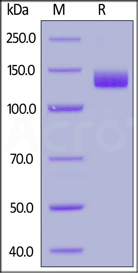 AC2-H82F9-sds