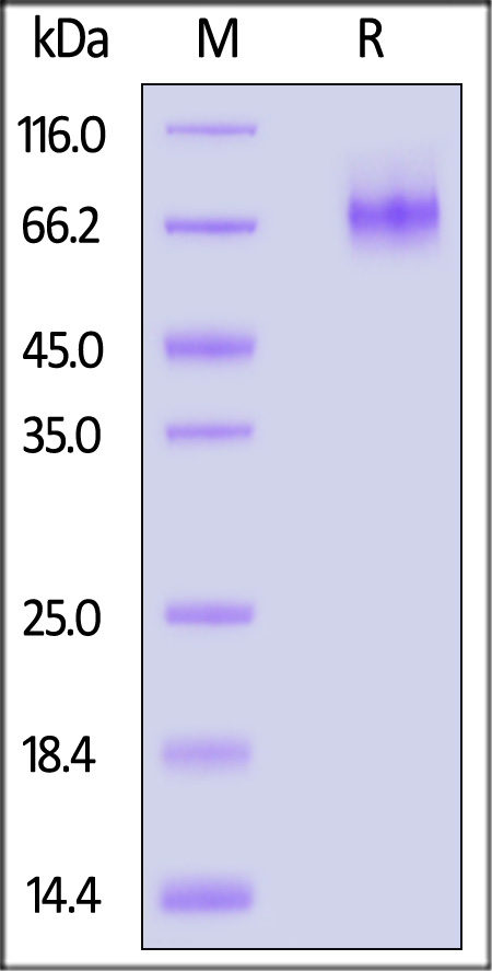 AD9-M52H3-sds