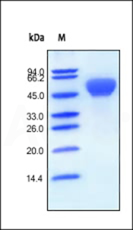 AL3-H5259-sds