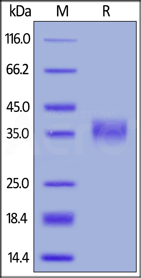 AZ1-H5225-sds