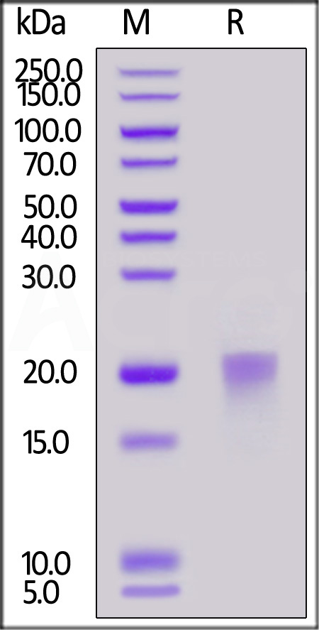 BAR-H52H3-sds