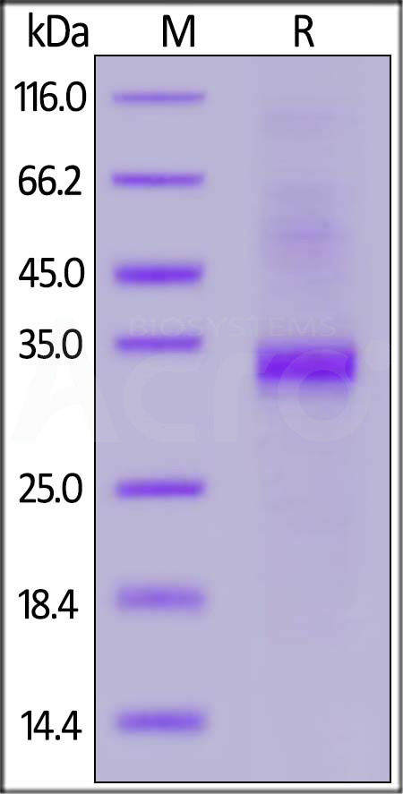 BLE-H82E4-sds